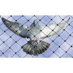 רשת להרחקת יונים 3.00/3.00