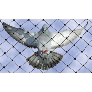 רשת להרחקת יונים 3.00/3.00